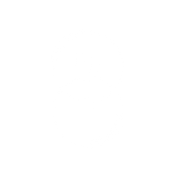 Unelmoiisosti